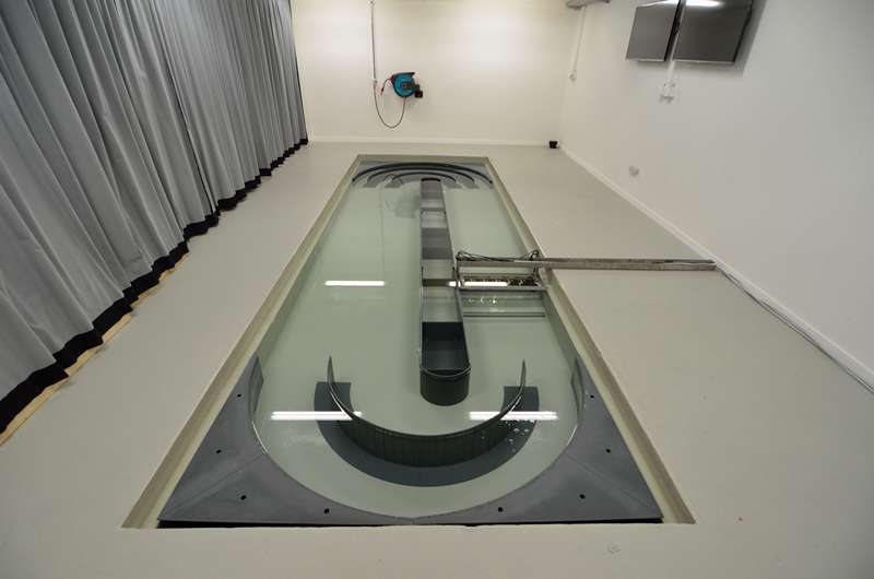 Image Swimming Pool and Flow tank