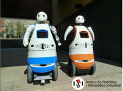 Image Tibi and Dabo robots